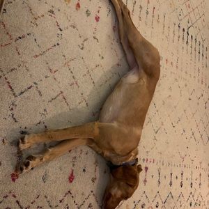 Meet your Posher, Moriah